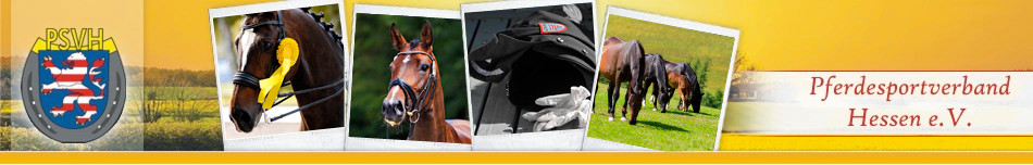 Pferdesportverband